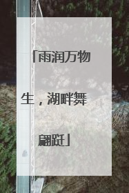 雨润万物生，湖畔舞翩跹