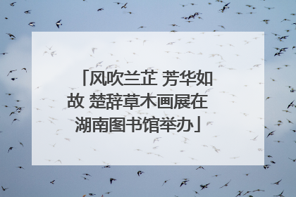 风吹兰芷 芳华如故 楚辞草木画展在湖南图书馆举办