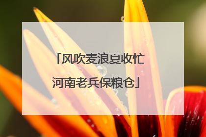 风吹麦浪夏收忙 河南老兵保粮仓