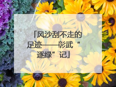 风沙刮不走的足迹——彰武“逐绿”记