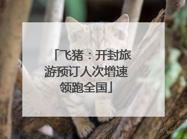 飞猪：开封旅游预订人次增速领跑全国