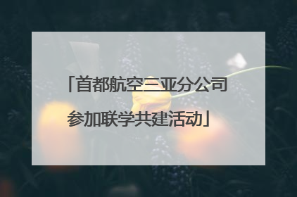 首都航空三亚分公司参加联学共建活动
