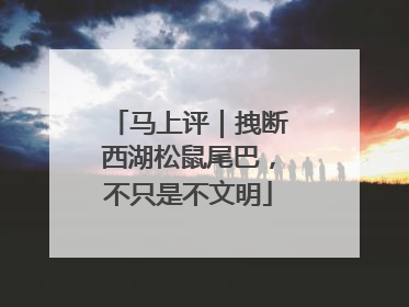 马上评｜拽断西湖松鼠尾巴，不只是不文明