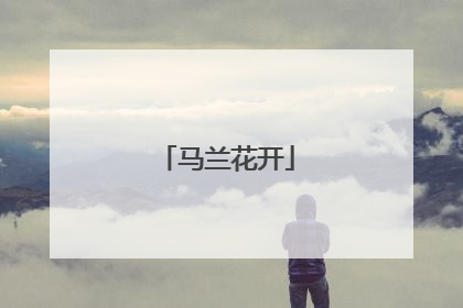 马兰花开