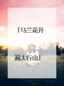 马兰花开遍太行山
