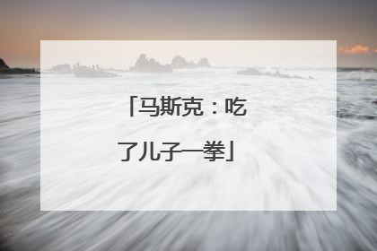 马斯克：吃了儿子一拳