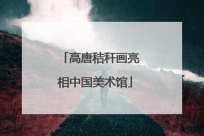 高唐秸秆画亮相中国美术馆