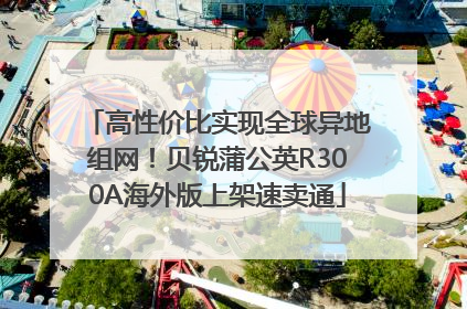 高性价比实现全球异地组网！贝锐蒲公英R300A海外版上架速卖通