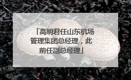高明君任山东机场管理集团总经理，此前任副总经理