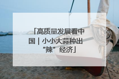 高质量发展看中国｜小小大蒜种出“辣”经济