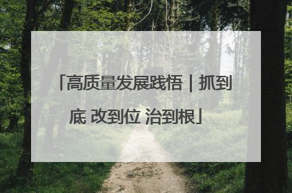 高质量发展践悟｜抓到底 改到位 治到根