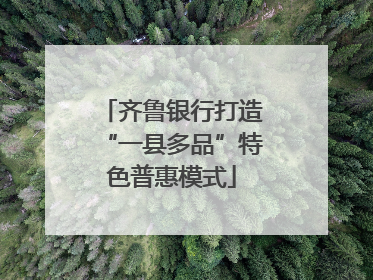齐鲁银行打造“一县多品”特色普惠模式