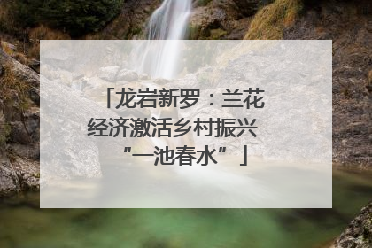 龙岩新罗：兰花经济激活乡村振兴“一池春水”