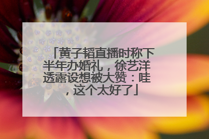 黄子韬直播时称下半年办婚礼，徐艺洋透露设想被大赞：哇，这个太好了