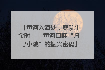 黄河入海处，庭院生金时——黄河口畔“归寻小院”的振兴密码