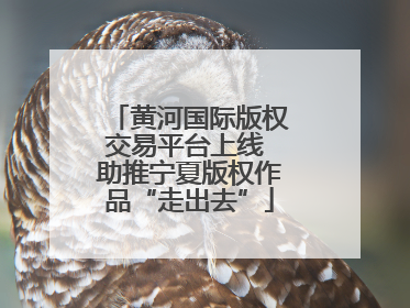 黄河国际版权交易平台上线 助推宁夏版权作品“走出去”