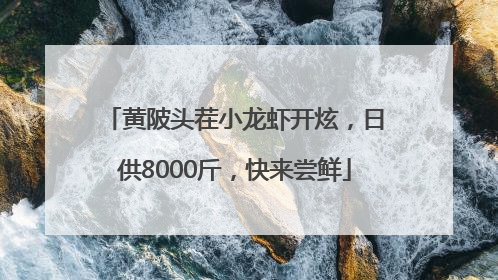 黄陂头茬小龙虾开炫，日供8000斤，快来尝鲜