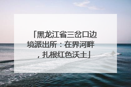黑龙江省三岔口边境派出所：在界河畔，扎根红色沃土