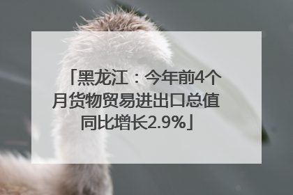 黑龙江：今年前4个月货物贸易进出口总值同比增长2.9%