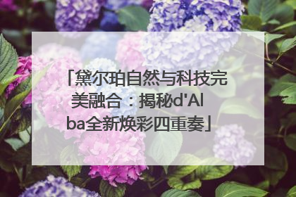 黛尔珀自然与科技完美融合：揭秘d'Alba全新焕彩四重奏