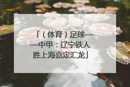 （体育）足球——中甲：辽宁铁人胜上海嘉定汇龙