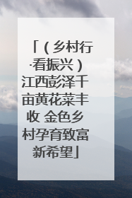 （乡村行·看振兴）江西彭泽千亩黄花菜丰收 金色乡村孕育致富新希望