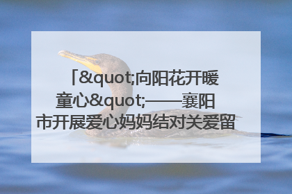 "向阳花开暖童心"——襄阳市开展爱心妈妈结对关爱留守困境儿童庆"六一"活动