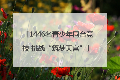 1446名青少年同台竞技 挑战“筑梦天宫”