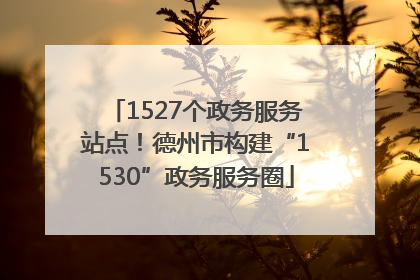 1527个政务服务站点！德州市构建“1530”政务服务圈