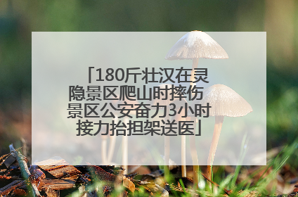 180斤壮汉在灵隐景区爬山时摔伤 景区公安奋力3小时接力抬担架送医