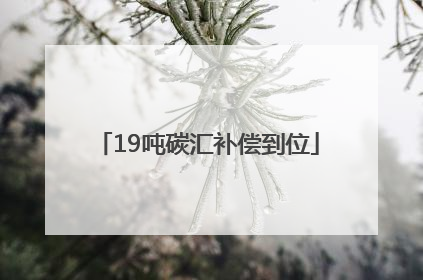 19吨碳汇补偿到位