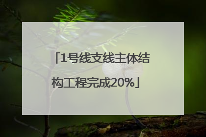 1号线支线主体结构工程完成20%
