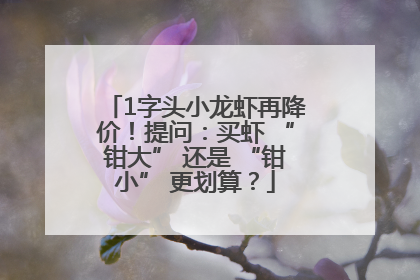 1字头小龙虾再降价！提问：买虾 “钳大” 还是 “钳小” 更划算？