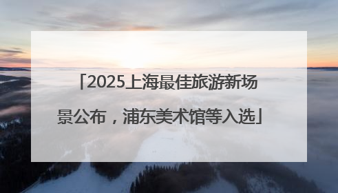 2025上海最佳旅游新场景公布，浦东美术馆等入选