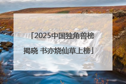 2025中国独角兽榜揭晓 书亦烧仙草上榜