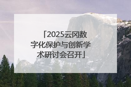 2025云冈数字化保护与创新学术研讨会召开