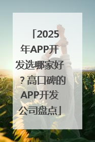 2025年APP开发选哪家好？高口碑的APP开发公司盘点