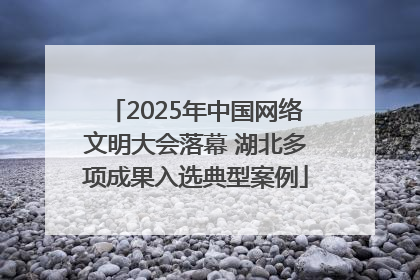 2025年中国网络文明大会落幕 湖北多项成果入选典型案例