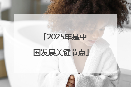 2025年是中国发展关键节点