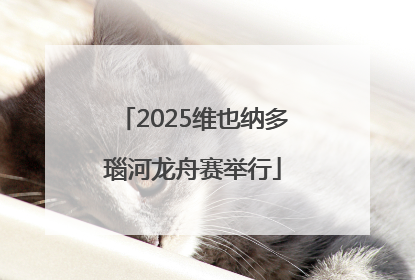 2025维也纳多瑙河龙舟赛举行