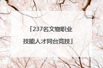 237名文物职业技能人才同台竞技