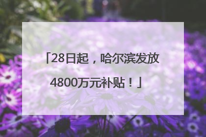 28日起，哈尔滨发放4800万元补贴！