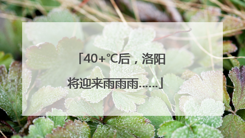 40+℃后，洛阳将迎来雨雨雨……
