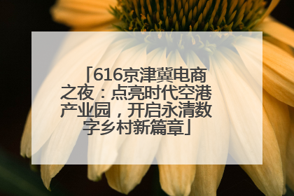 616京津冀电商之夜：点亮时代空港产业园，开启永清数字乡村新篇章