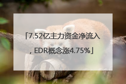 7.52亿主力资金净流入，EDR概念涨4.75%