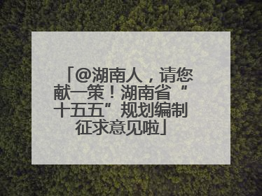 @湖南人，请您献一策！湖南省“十五五”规划编制征求意见啦