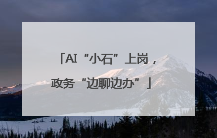 AI“小石”上岗，政务“边聊边办”
