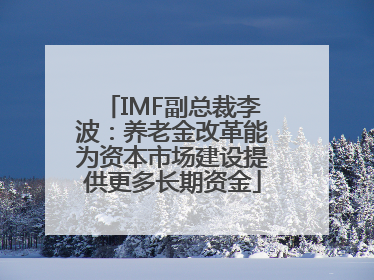 IMF副总裁李波：养老金改革能为资本市场建设提供更多长期资金