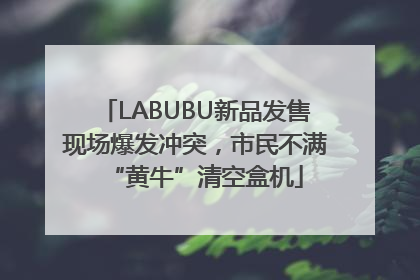 LABUBU新品发售现场爆发冲突，市民不满“黄牛”清空盒机