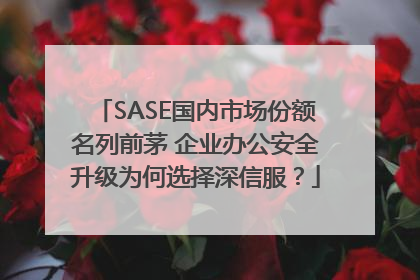 SASE国内市场份额名列前茅 企业办公安全升级为何选择深信服？